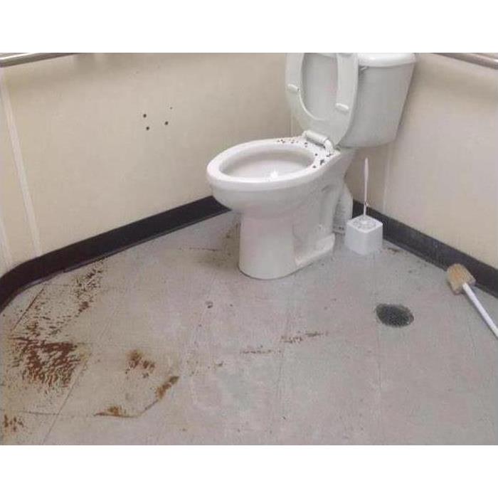 A backed up toilet